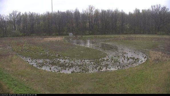 Cell 4_24-04-23_14-45-28-35