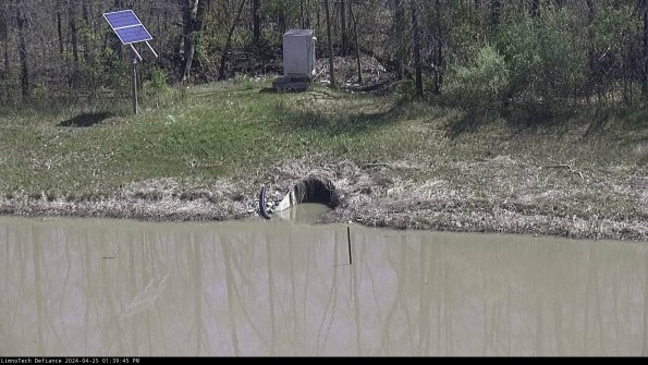 Basin Inflow_24-04-25_13-39-46-35