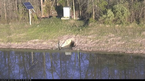 Basin Inflow_24-04-25_19-48-10-36