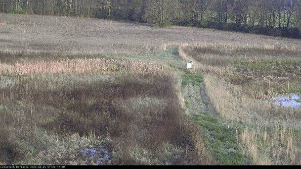 Cell 1 to 2_24-04-25_07-29-18-33