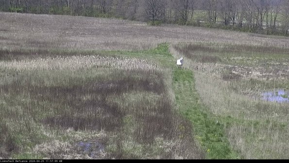 Cell 1 to 2_24-04-25_11-57-10-34