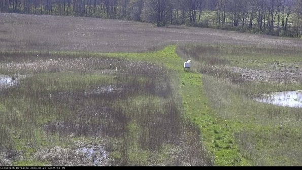 Cell 1 to 2_24-04-25_16-25-06-31