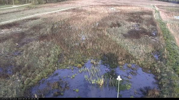 Cell 1_24-04-25_07-29-04-32