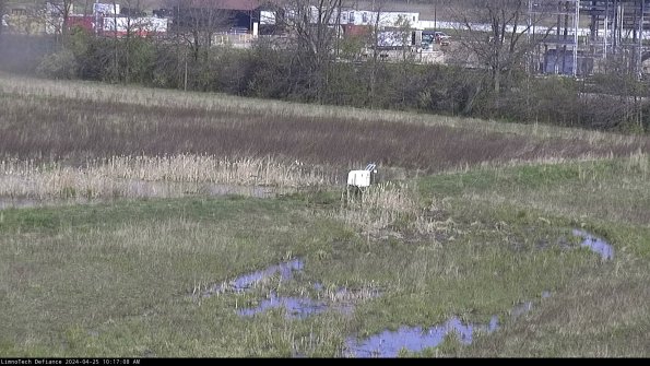 Cell 2 to 3_24-04-25_10-17-09-40