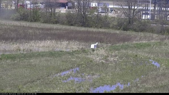 Cell 2 to 3_24-04-25_12-31-06-48