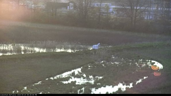 Cell 2 to 3_24-04-25_20-20-00-47