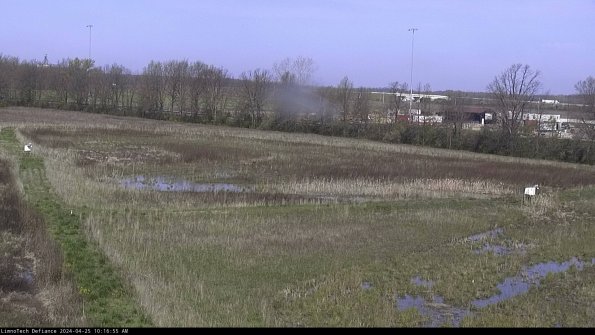 Cell 2_24-04-25_10-16-56-32