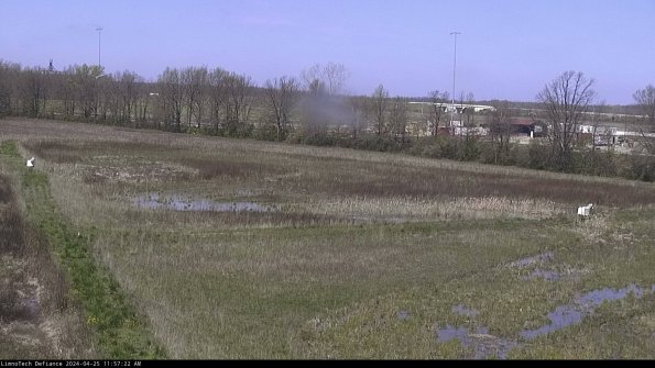 Cell 2_24-04-25_11-57-23-35