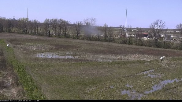 Cell 2_24-04-25_14-11-23-39