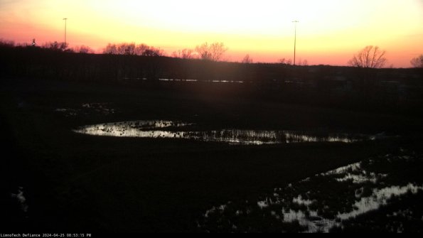 Cell 2_24-04-25_20-53-16-38