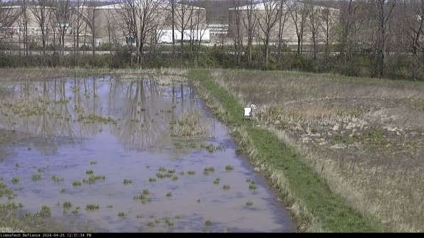 Cell 3 to 4_24-04-25_12-31-35-34