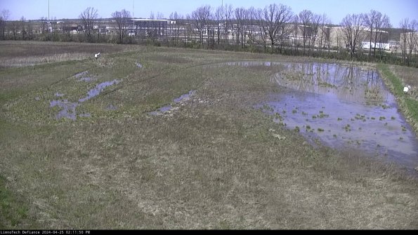 Cell 3_24-04-25_14-11-50-55