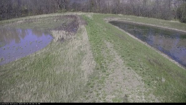 Cell 4 to Basin_24-04-25_17-00-15-33