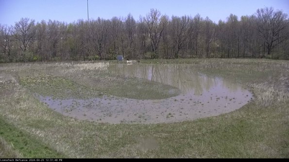 Cell 4_24-04-25_12-31-49-35