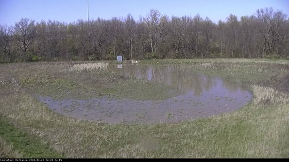 Cell 4_24-04-25_16-26-15-32