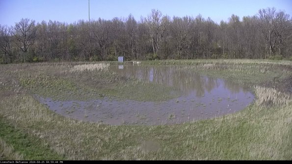 Cell 4_24-04-25_16-59-45-33