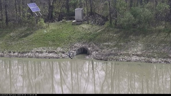 Basin Inflow_24-04-26_11-59-23-57