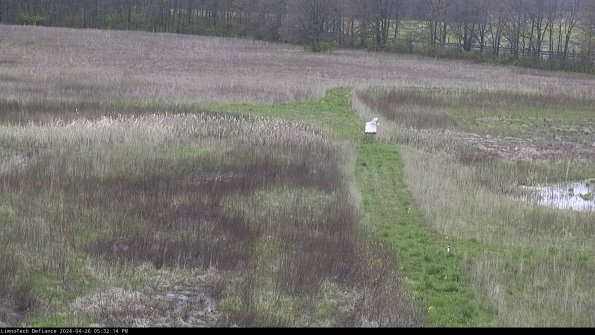 Cell 1 to 2_24-04-26_17-32-15-34