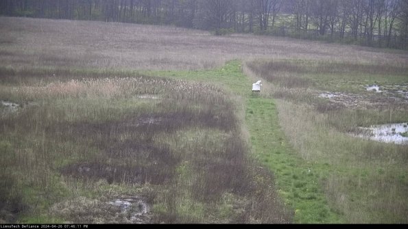 Cell 1 to 2_24-04-26_19-46-12-32