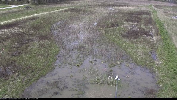 Cell 1_24-04-26_11-57-04-33