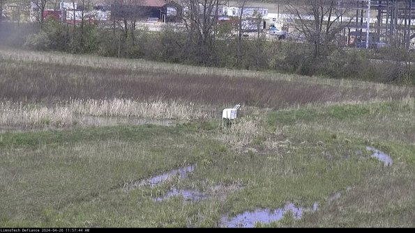 Cell 2 to 3_24-04-26_11-57-44-47