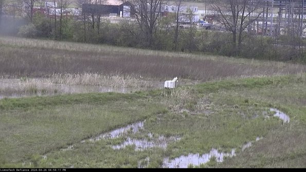 Cell 2 to 3_24-04-26_16-59-11-53