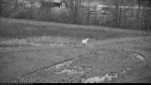 Cell 2 to 3_24-04-26_20-53-38-34