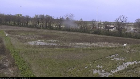 Cell 2_24-04-26_16-58-58-42