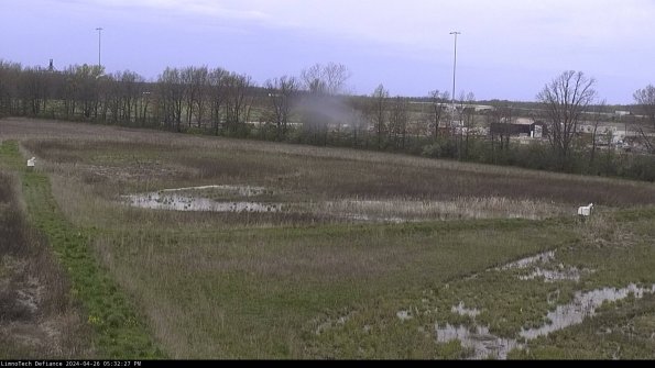 Cell 2_24-04-26_17-32-28-36