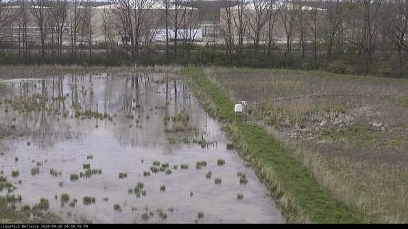 Cell 3 to 4_24-04-26_16-59-40-32