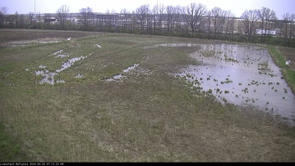 Cell 3_24-04-26_19-13-24-35