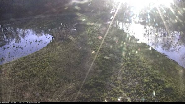 Cell 4 to Basin_24-04-26_07-31-04-34