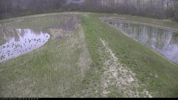 Cell 4 to Basin_24-04-26_16-26-55-34