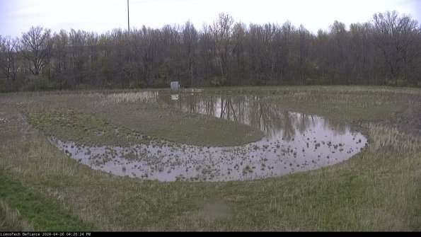 Cell 4_24-04-26_16-26-25-31