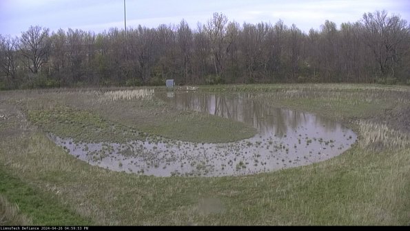 Cell 4_24-04-26_16-59-54-34