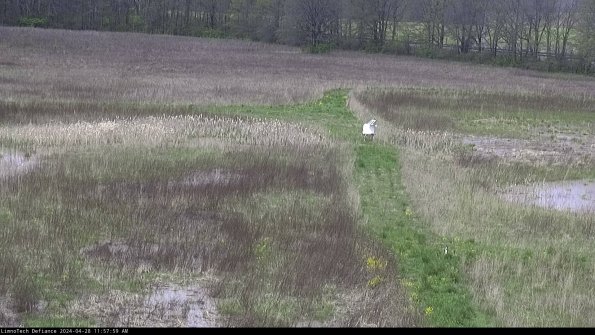 Cell 1 to 2_24-04-28_11-58-00-36