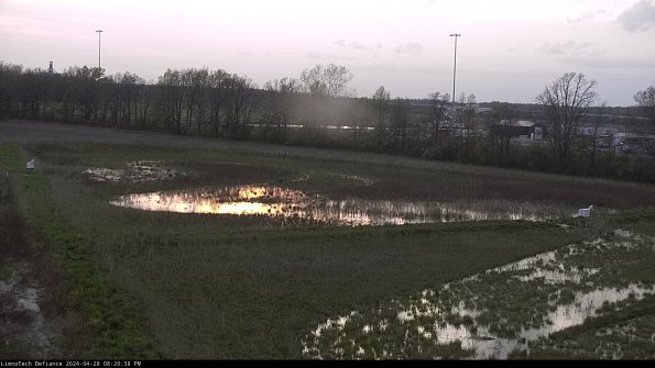 Cell 2_24-04-28_20-20-39-38