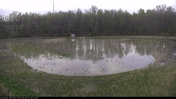 Cell 4_24-04-28_19-48-04-35