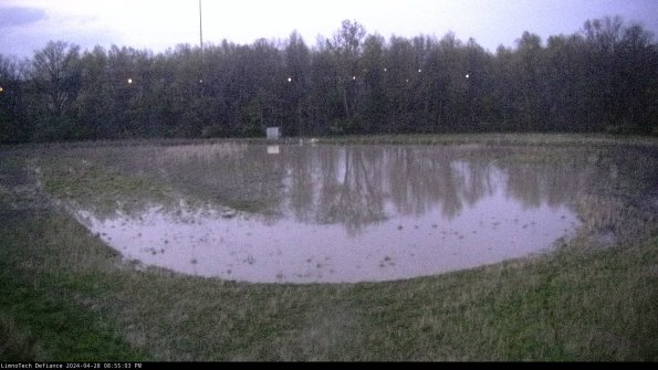 Cell 4_24-04-28_20-55-04-36