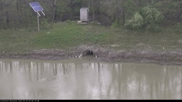 Basin Inflow_24-04-29_09-46-18-53