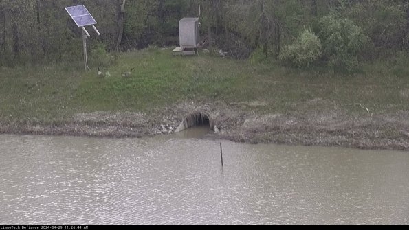 Basin Inflow_24-04-29_11-26-45-36