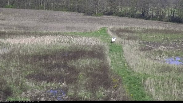 Cell 1 to 2_24-04-29_08-37-16-36