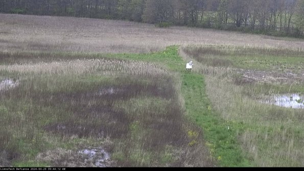 Cell 1 to 2_24-04-29_09-44-13-34