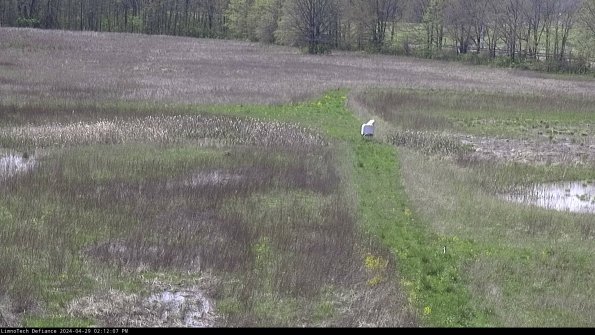 Cell 1 to 2_24-04-29_14-12-08-33