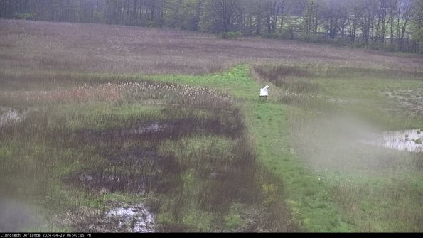 Cell 1 to 2_24-04-29_18-40-06-32