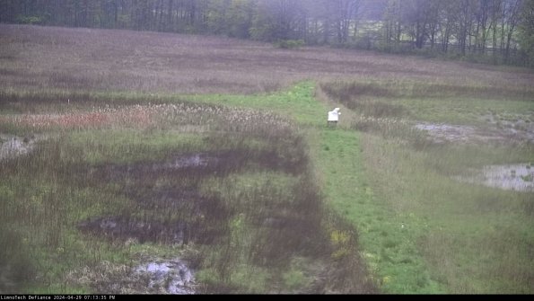 Cell 1 to 2_24-04-29_19-13-36-34