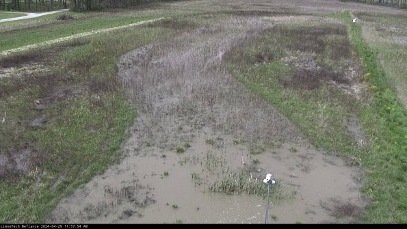 Cell 1_24-04-29_11-57-55-37