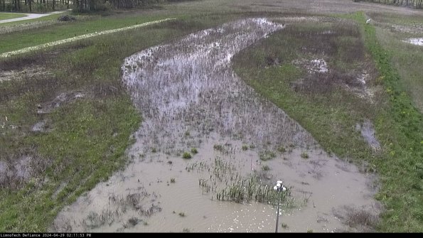 Cell 1_24-04-29_14-11-54-35