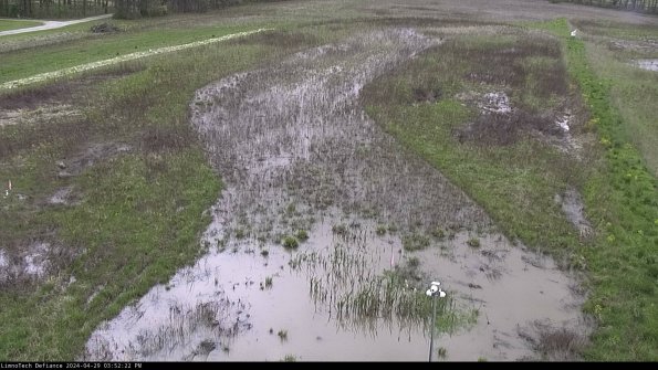 Cell 1_24-04-29_15-52-23-35