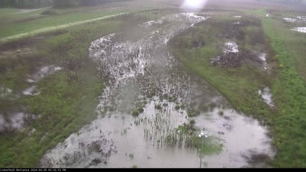 Cell 1_24-04-29_17-32-53-34